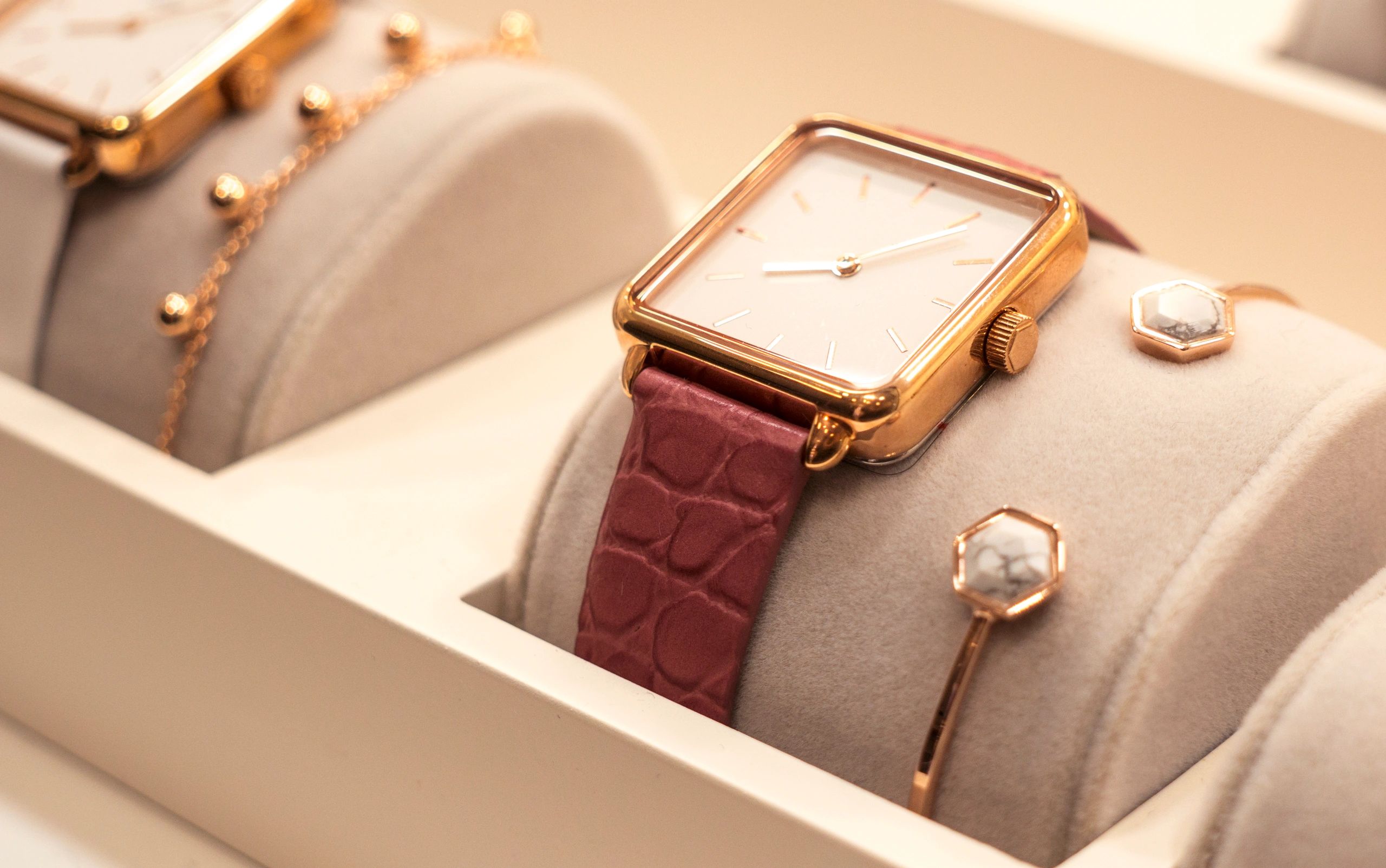 Fine watch and jewelry display